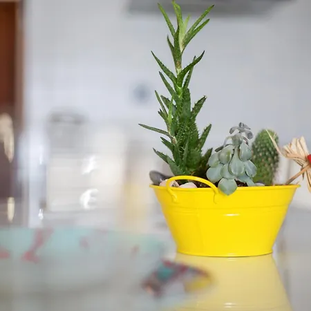 Abuelo Miguel Lejlighed