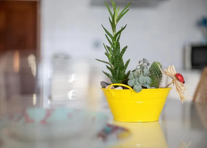 Abuelo Miguel Cotillo